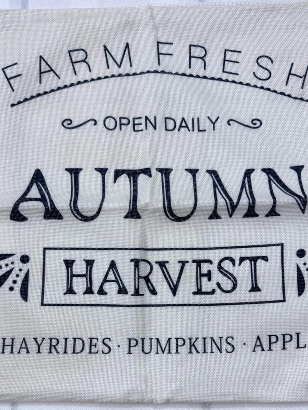 4-Piece Autumn Harvest Pumpkin Pillow Covers - Neutral Farmhouse Set w/ Zippers